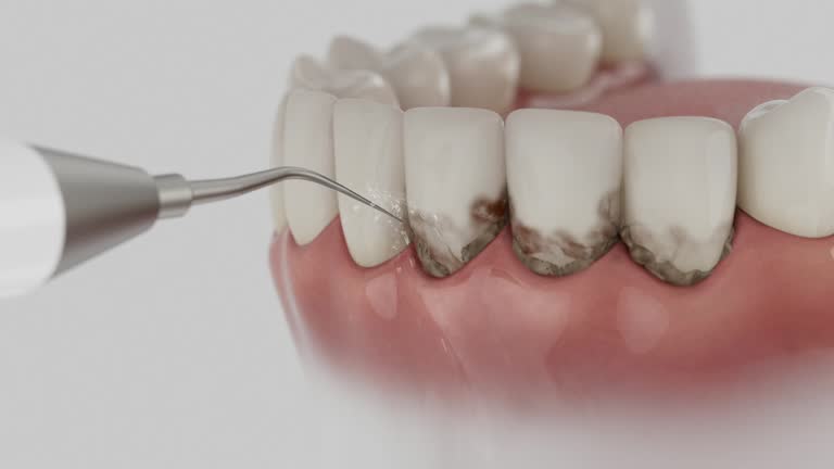 Reliable Dental contractor in Key Vista, FL by Dentist Open Now
